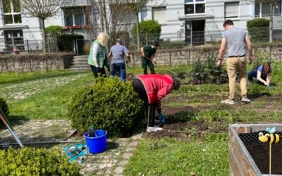 Unser Urban Farming Projekt startet in die zweite Saison!